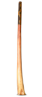 Jesse Lethbridge Didgeridoo (JL132)
